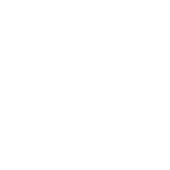 Shopify development